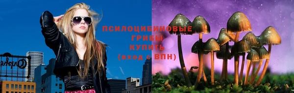 винт Армянск