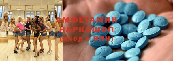 молекула духа Арсеньев