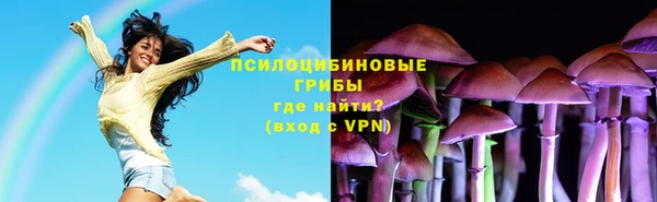 молекула духа Арсеньев