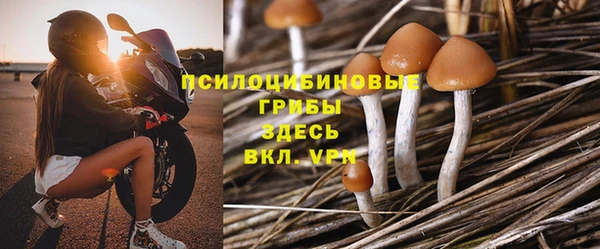 молекула духа Арсеньев