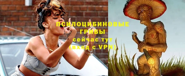 МДПВ Магас