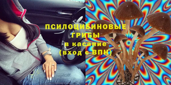 винт Армянск